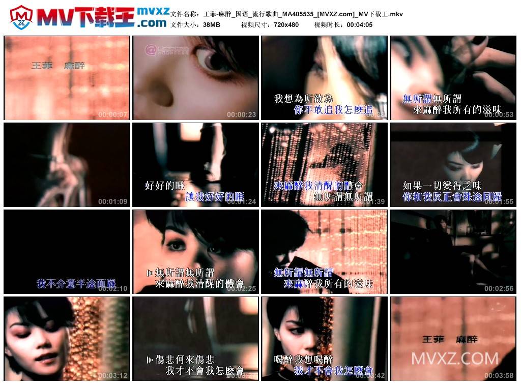 王菲-麻醉_国语_流行歌曲_MA405535